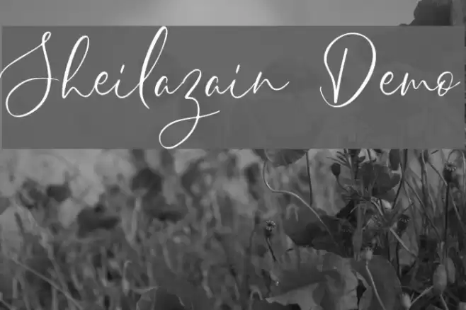 Sheilazain Demo Font examples
