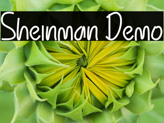 Sheinman Demo Example 2