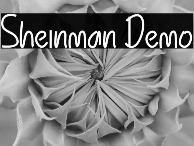 Sheinman Demo Шрифта examples