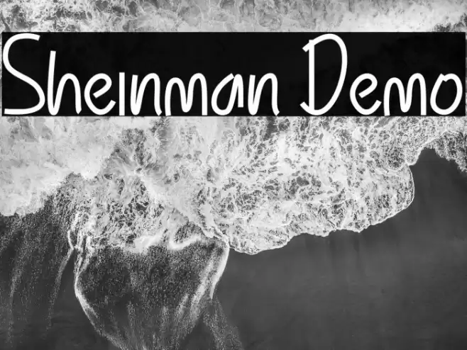 Sheinman Demo Шрифта examples