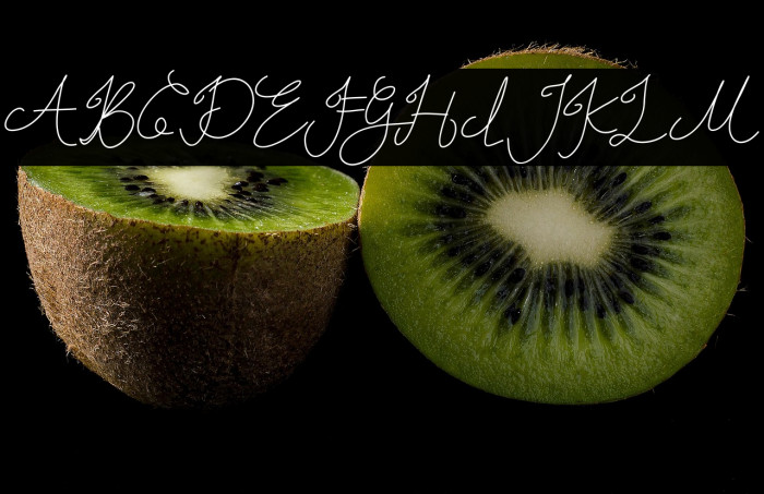 Sheira DEMO Example 1