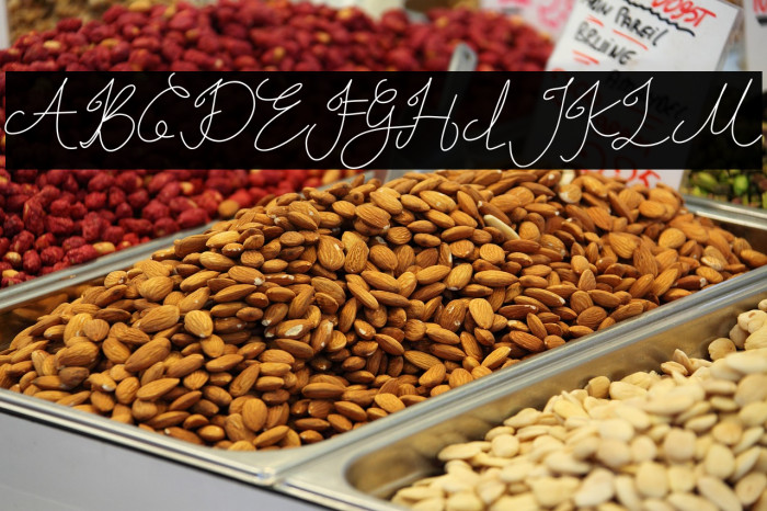 Sheira DEMO Example 3