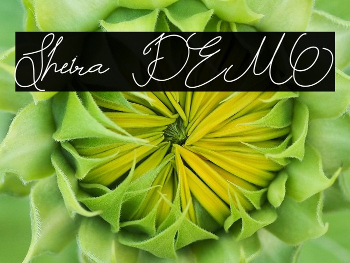 Sheira DEMO Example 2