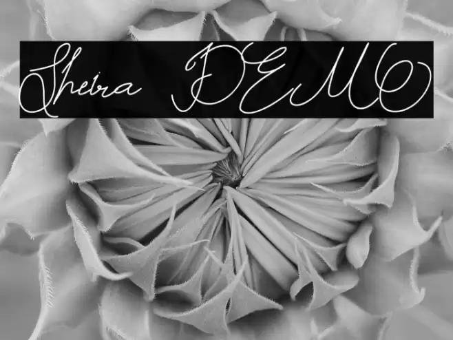 Sheira DEMO Font examples
