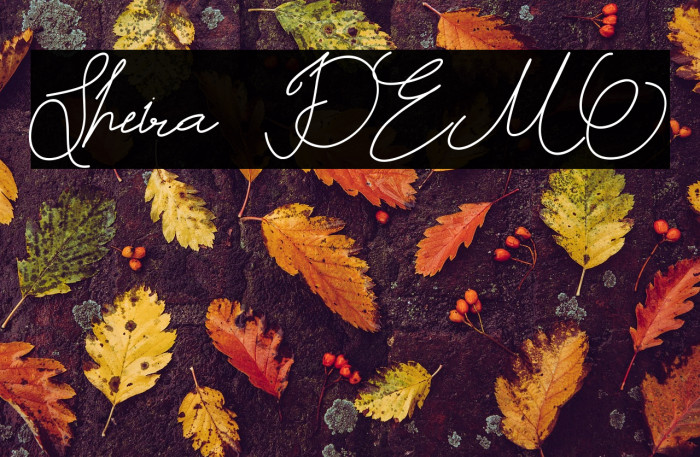 Sheira DEMO Example 3