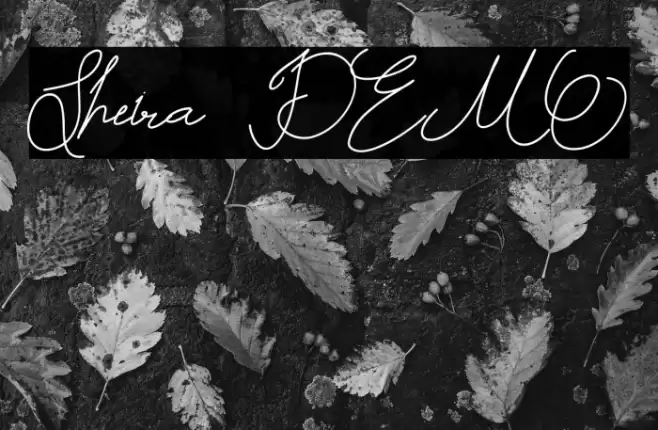 Sheira DEMO Font examples