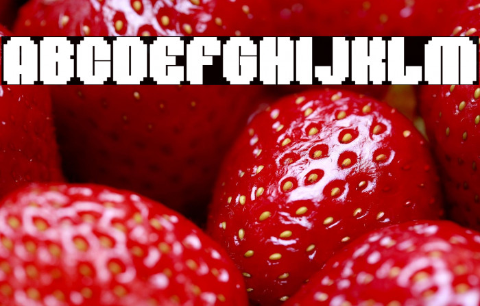 Sheko Personal Use Only Example 3