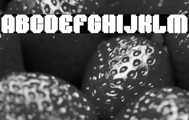 Sheko Personal Use Only Font examples