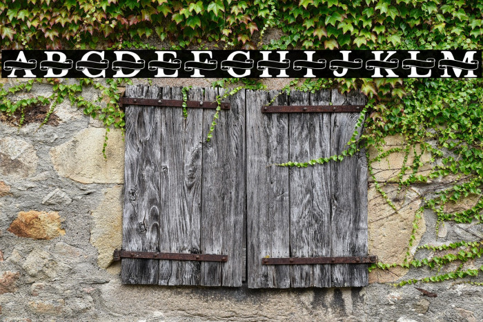 Shelana Monogram Split Fuentes examples