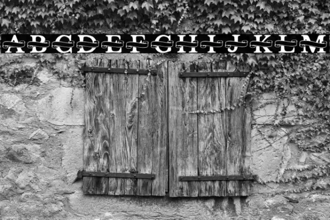 Shelana Monogram Split Font examples