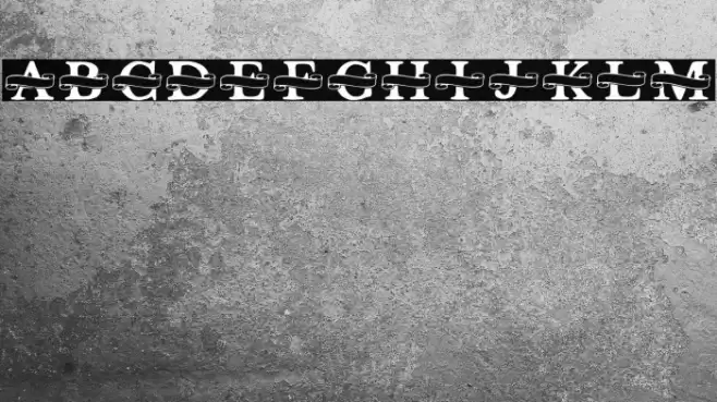 Shelana Monogram Split Font examples