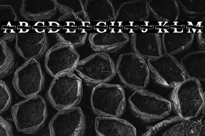 Shelana Monogram Split Font examples