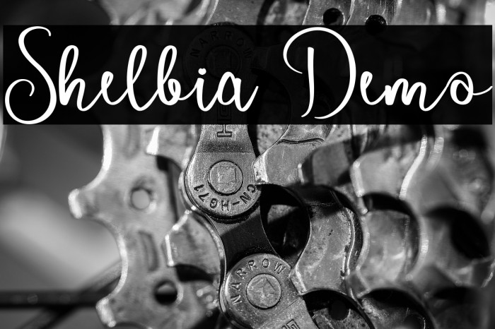 Shelbia Demo Example 1