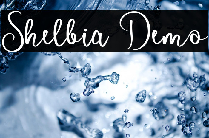 Shelbia Demo Example 3