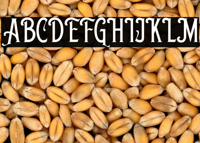 ShelbieRogerDEMO Example 1