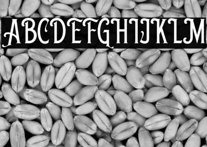 ShelbieRogerDEMO Fonte examples