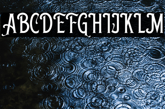 ShelbieRogerDEMO Example 2