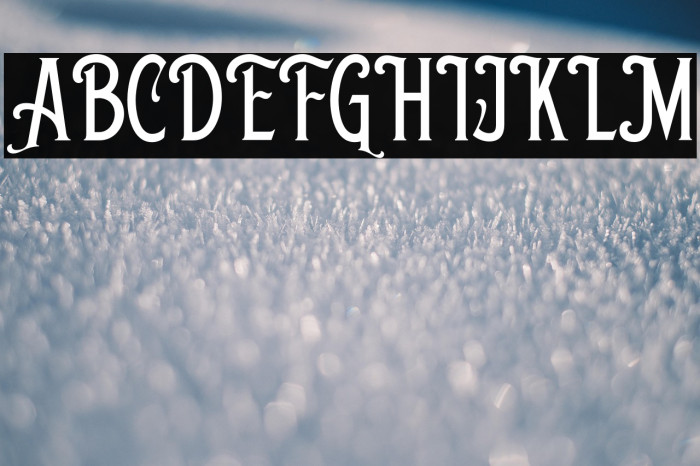 ShelbieRogerDEMO Example 3