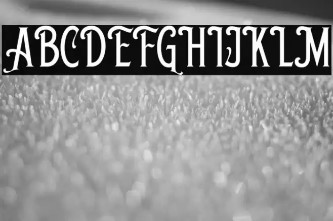 ShelbieRogerDEMO Fonte examples