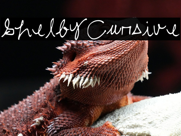 ShelbyCursive Example 2