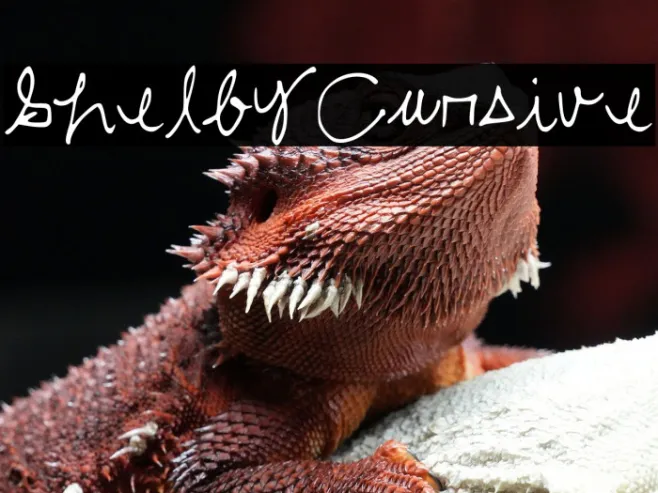 ShelbyCursive Example 2