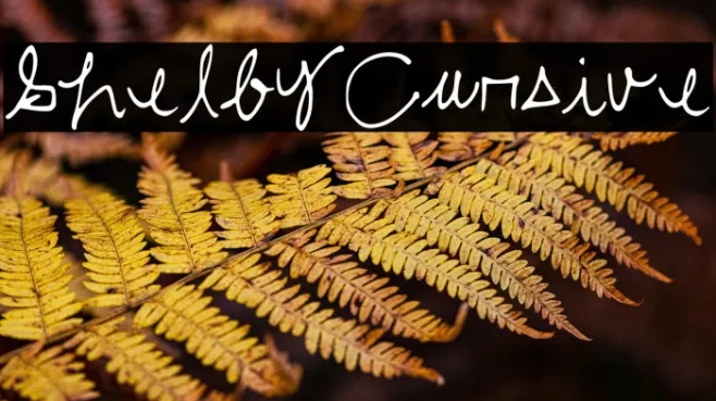 ShelbyCursive Example 3