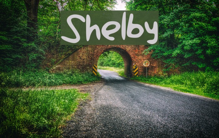 Shelby Font examples