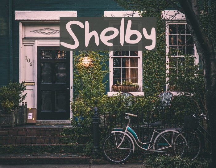 Shelby Font examples