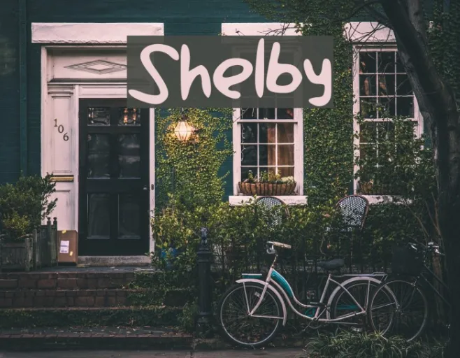Shelby Example 2