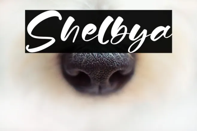 Shelbya Example 2
