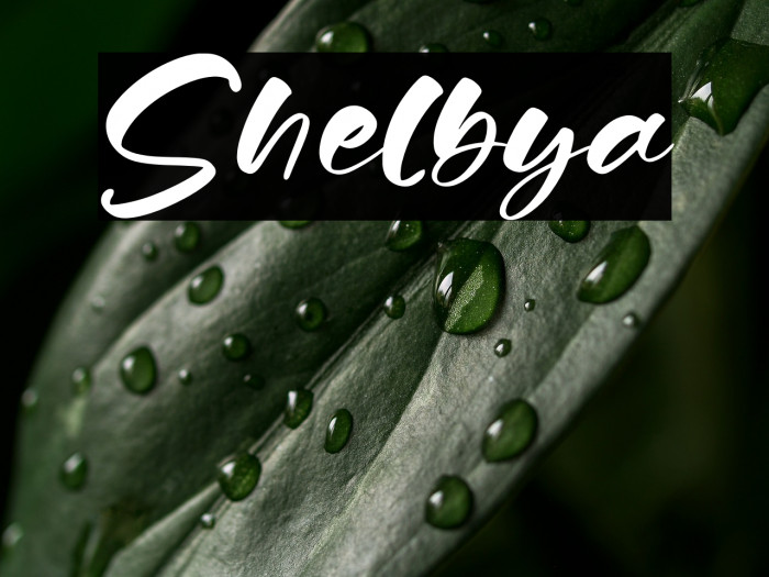 Shelbya Example 3