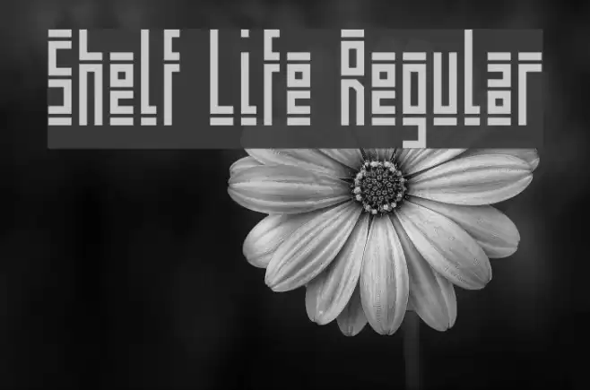 Shelf Life Regular Font examples