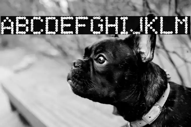 Shelf Life Font examples