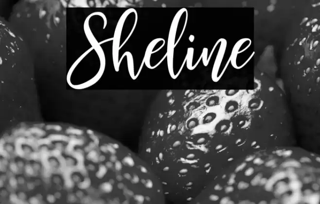 Sheline Font examples
