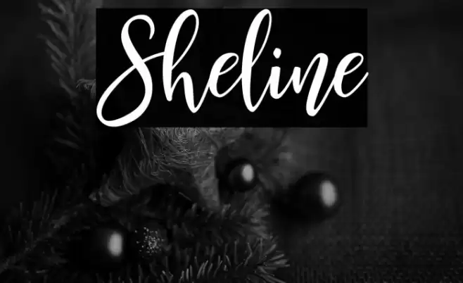 Sheline Font examples