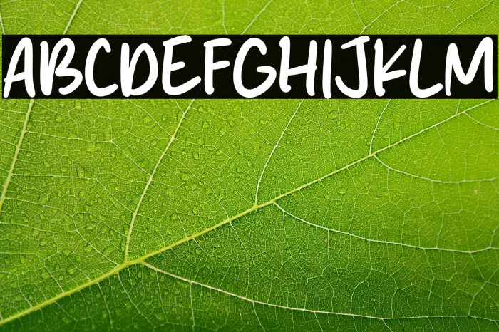 Shell Crabs Example 3