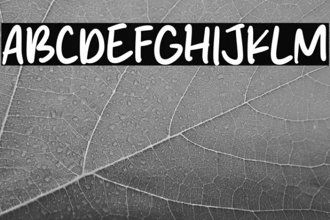 Shell Crabs Font examples