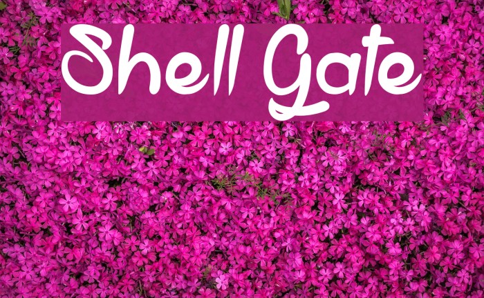 Shell Gate Font examples