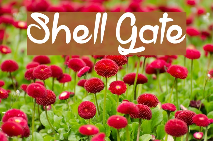 Shell Gate Font examples