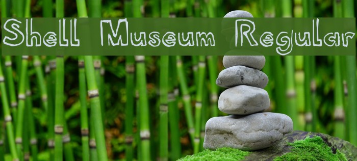 Shell Museum Regular Example 2