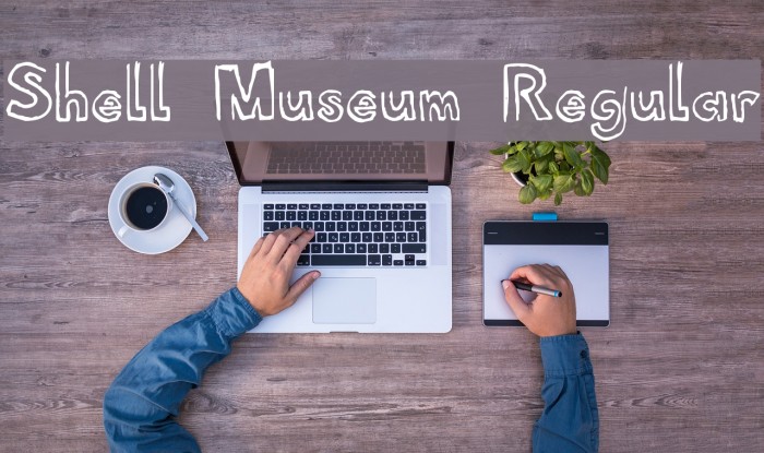 Shell Museum Regular Example 3