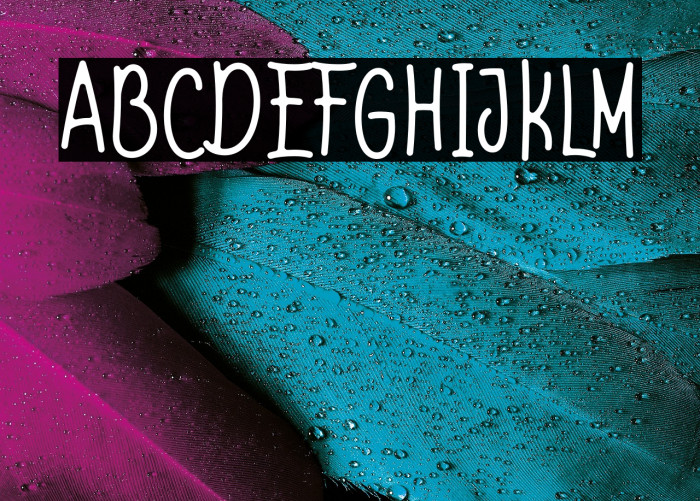 Shell & fish Demo Example 2