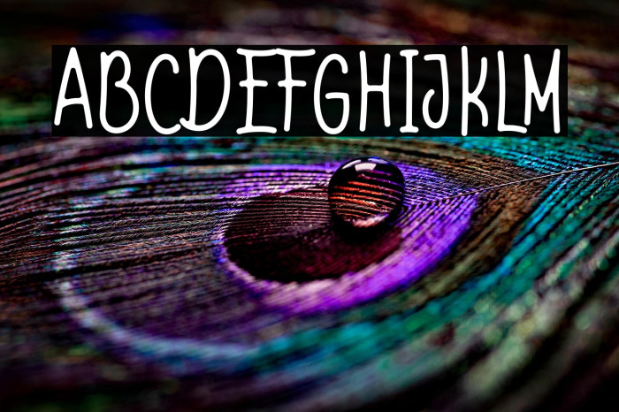 Shell & fish Demo Example 3