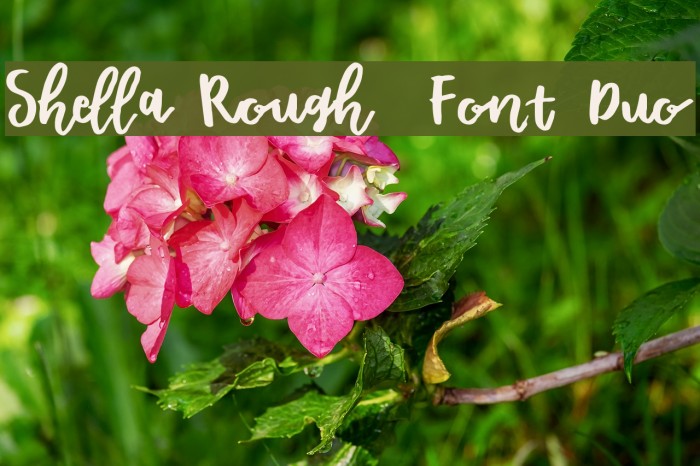 Shella Rough - Font Duo Example 1