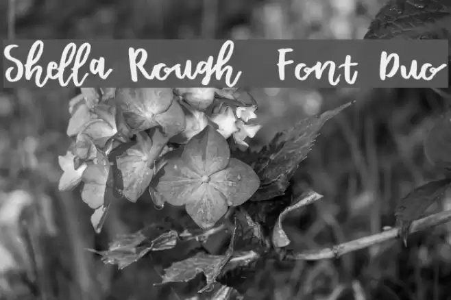 Shella Rough - Font Duo Font examples