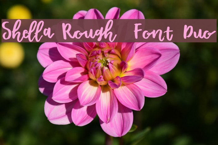 Shella Rough - Font Duo Example 2