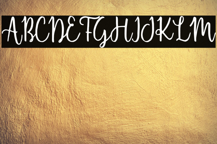 ShellaheraScriptDemo Example 1