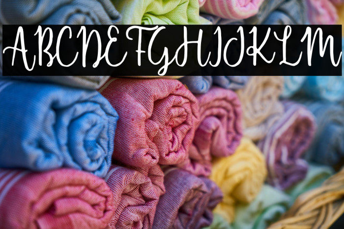 ShellaheraScriptDemo Example 3