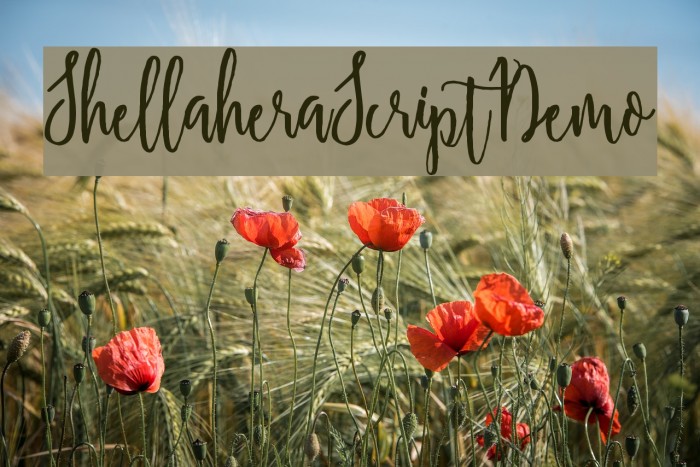 ShellaheraScriptDemo Font examples