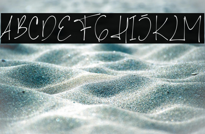 Shellana Demo Example 3